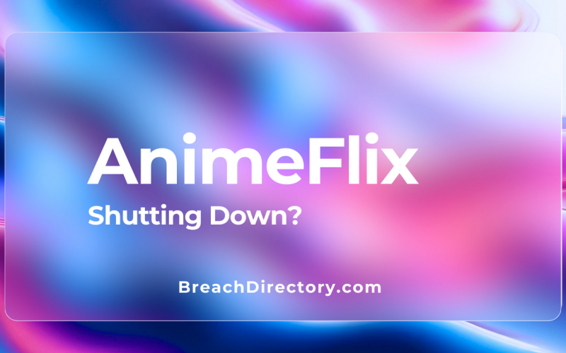 AnimeFlix Shutting Down