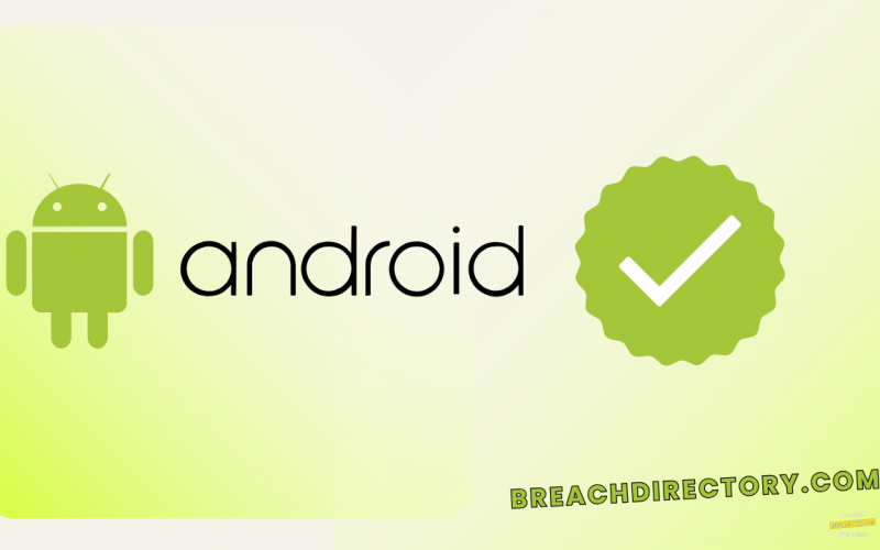 Google Play Store Update