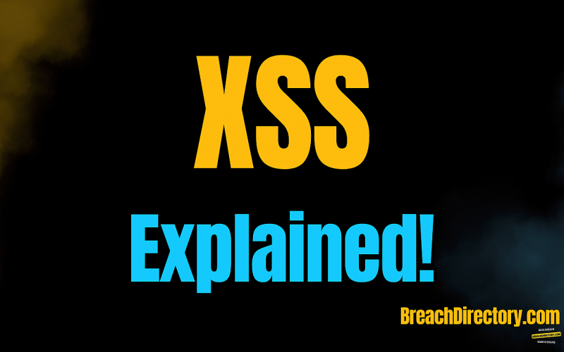 XSS Script